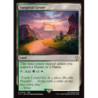 Sunpetal Grove