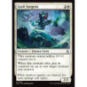Graft Surgeon