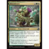Bloombrute