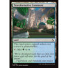 Transformative Commons