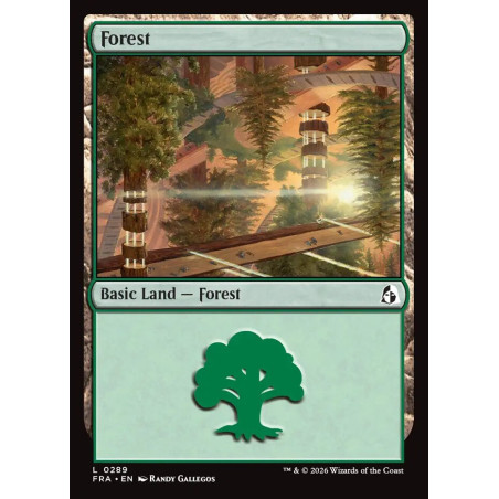Forest