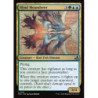 Foil Mind Meanderer