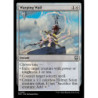 FOIL Warping Wail