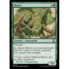 FOIL Brawn