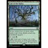 FOIL Lair of the Hydra
