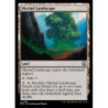 FOIL Myriad Landscape