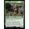 Mirrormere Guardian