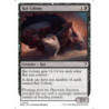 Rat Colony