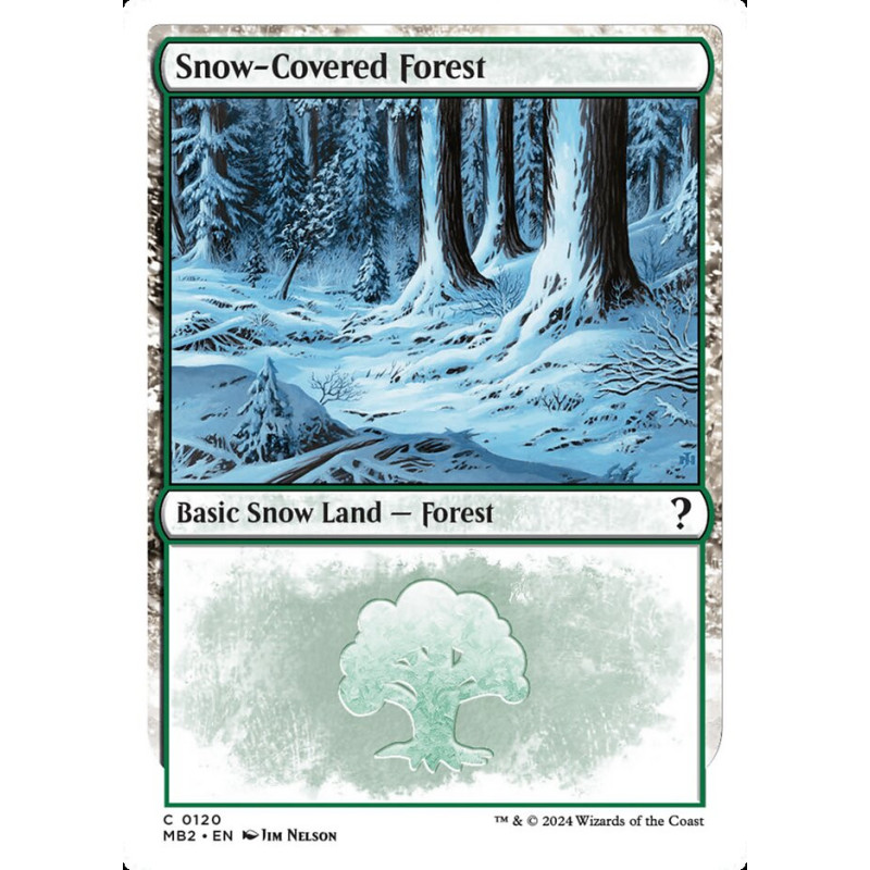 Snow-Covered Forest