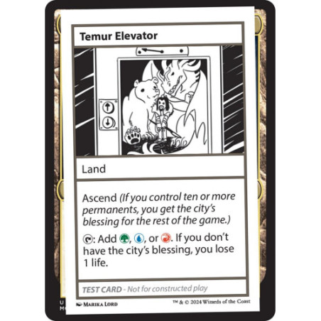 Temur Elevator