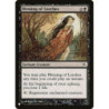 Blessing of Leeches