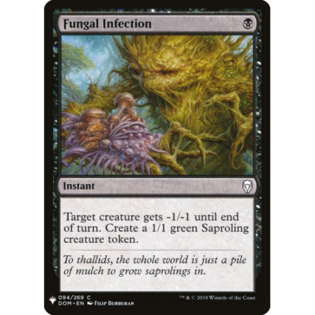 Fungal Infection