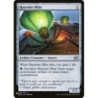 Haywire Mite