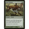 Wild Mongrel