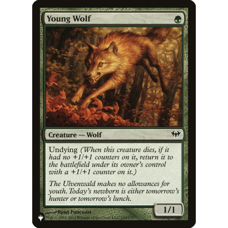 Young Wolf