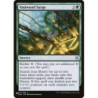 Vastwood Surge